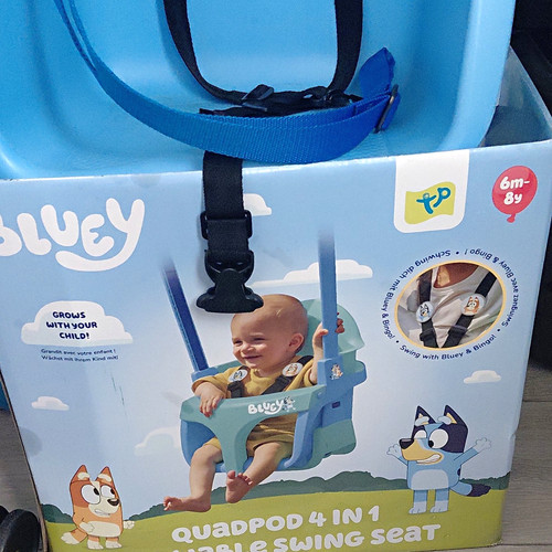 Bluey swing set and metal - swing,